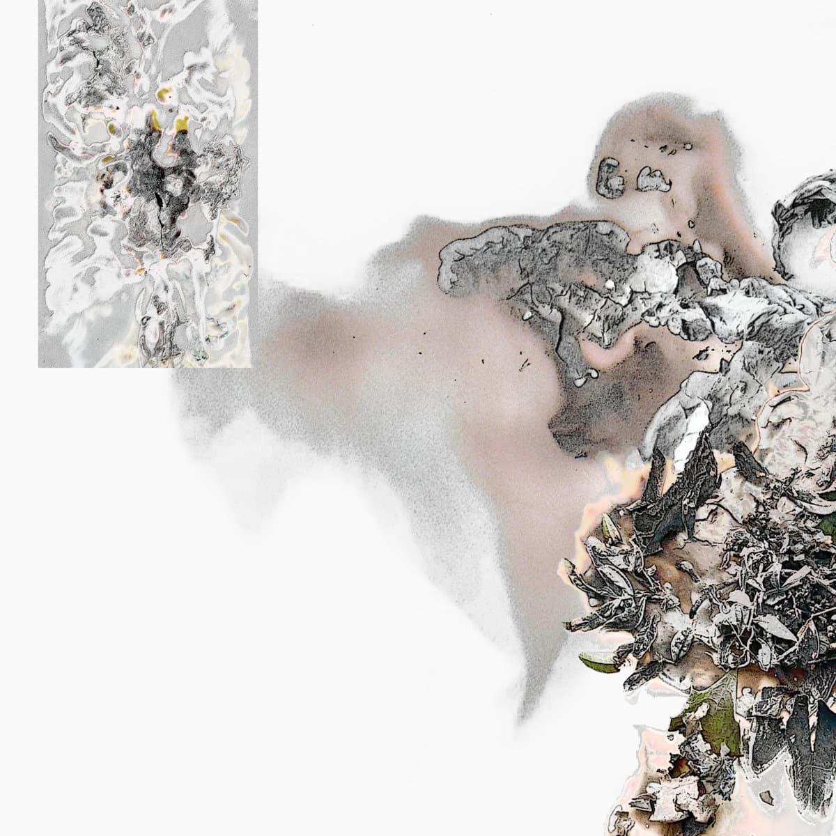 Shape Shifting — Mruda, cover
